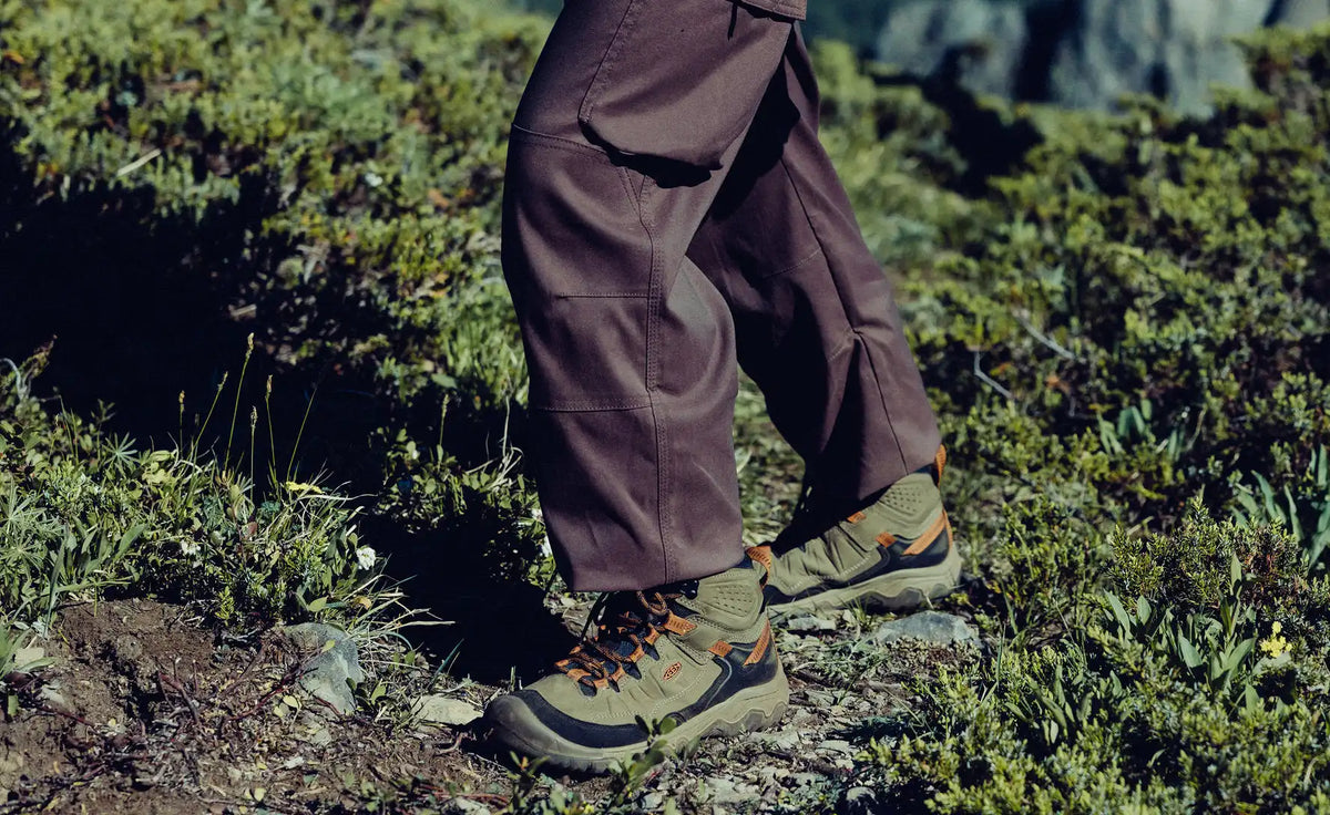 Men's Targhee IV Waterproof Hiking Boot