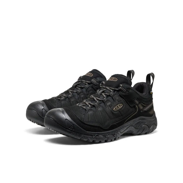 Men's Targhee IV Waterproof Hiking Shoe