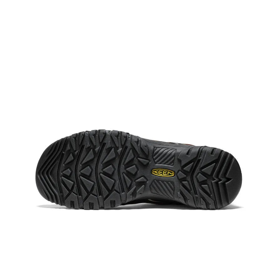 Men's Targhee IV Waterproof Hiking Shoe