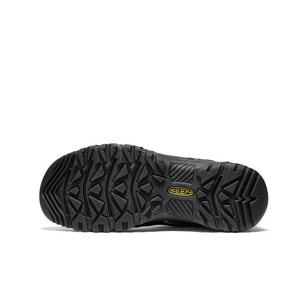 Men's Targhee IV Waterproof Hiking Shoe