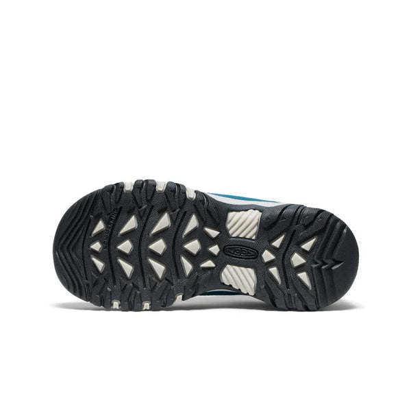 Big Kids' Targhee IV Waterproof Hiking Shoe
