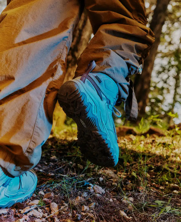 Men's Targhee IV Waterproof Hiking Boot