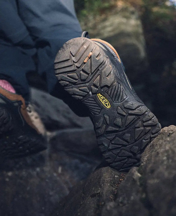Men's Targhee IV Waterproof Hiking Shoe