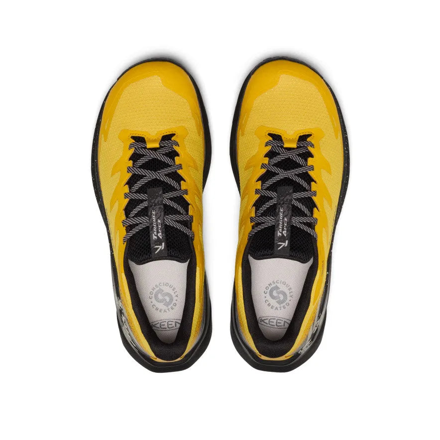 Men's Targhee Apex Waterproof Hiking Shoe